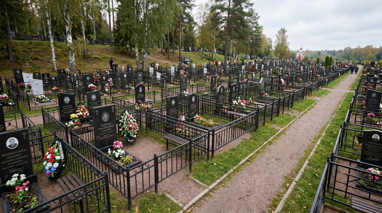 оградки